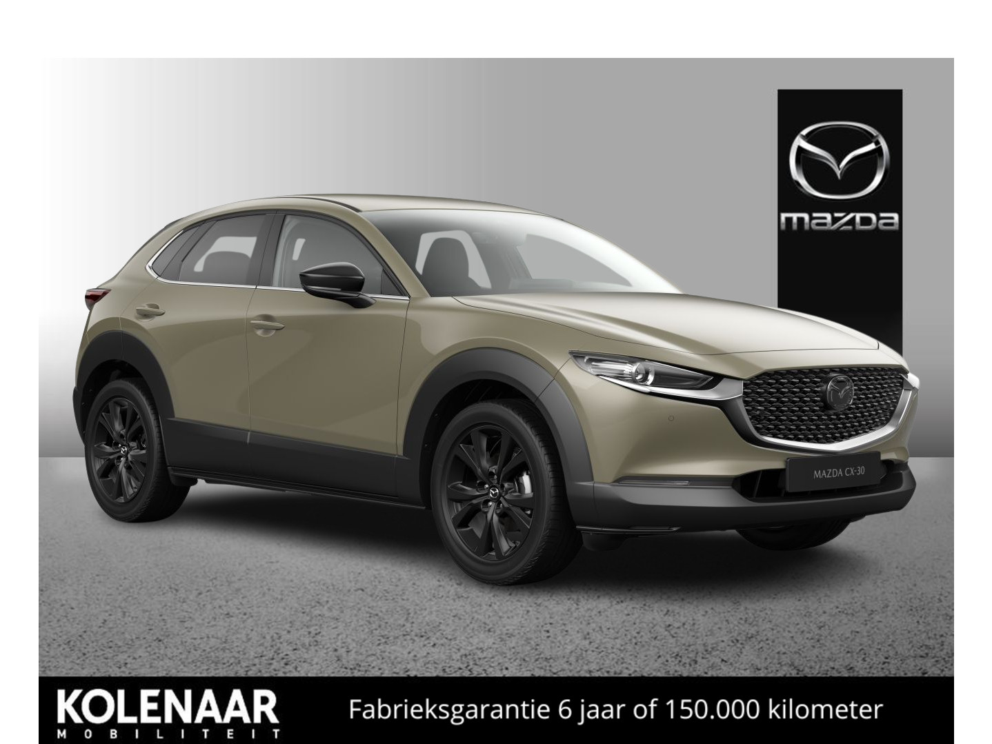 Mazda Mazda