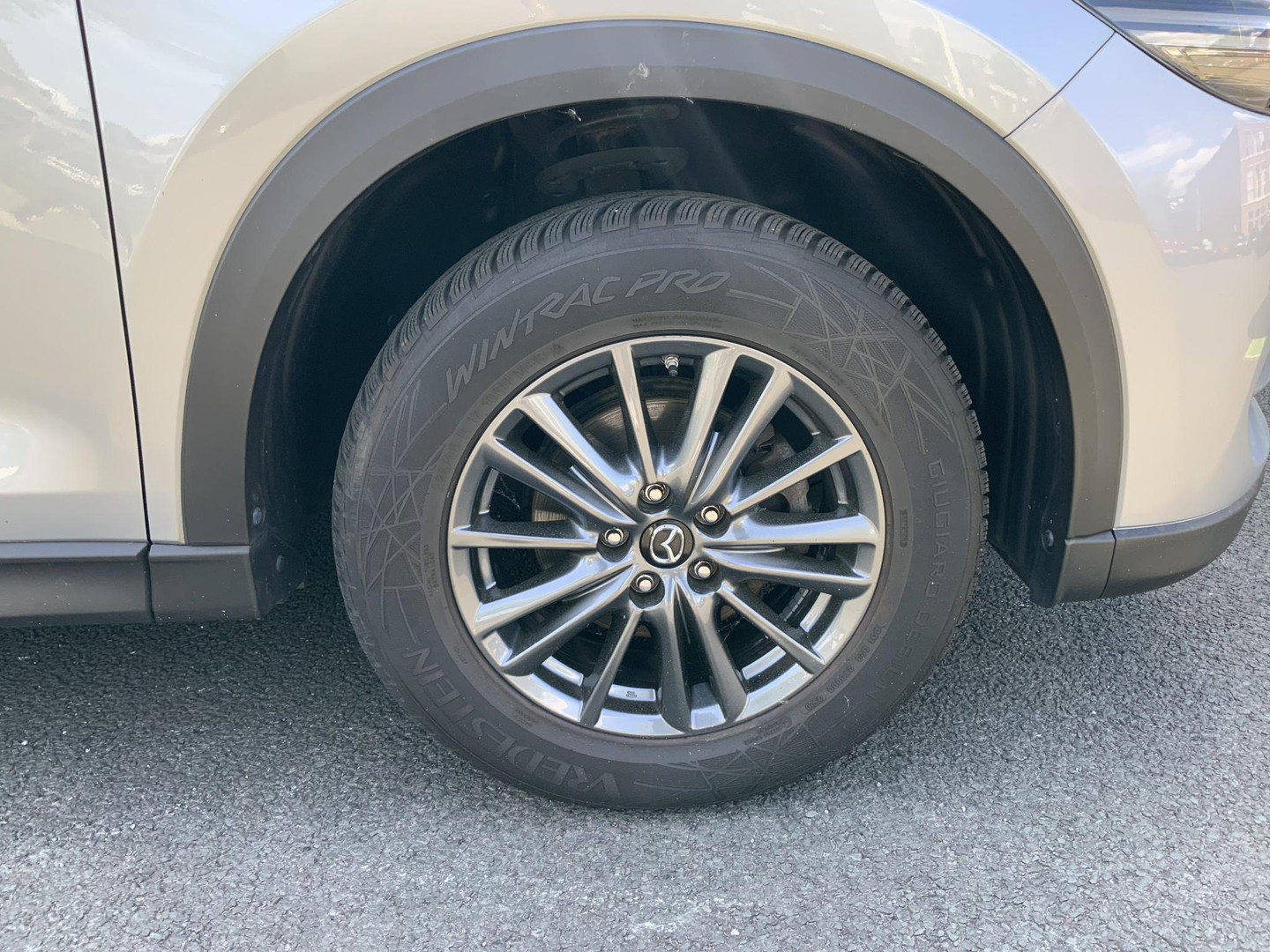 Mazda Mazda