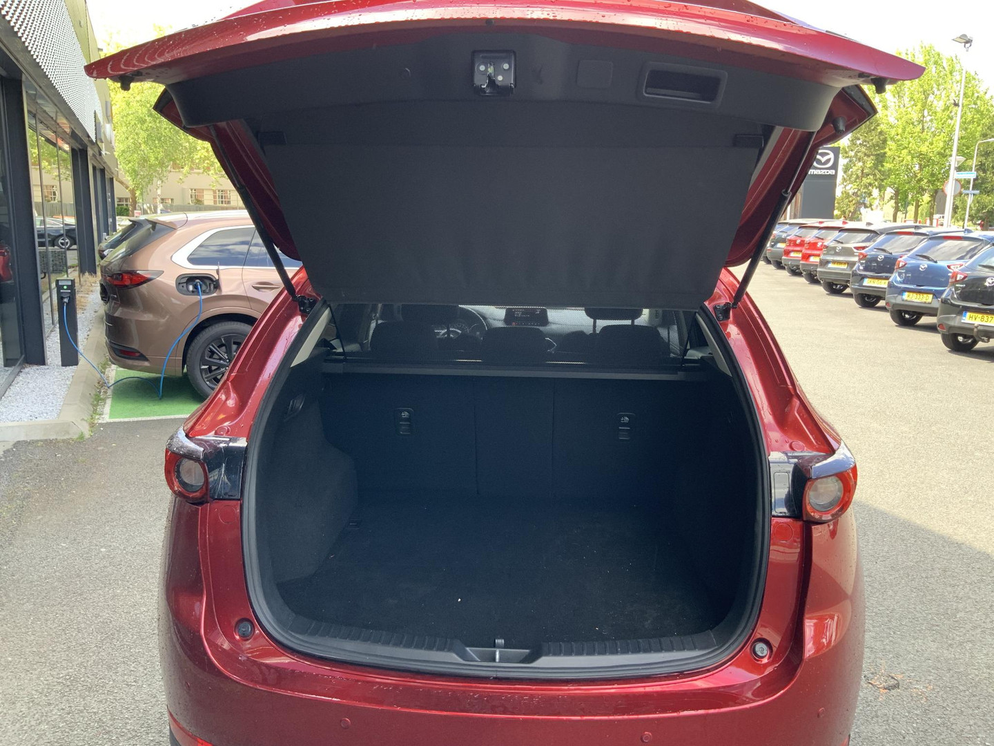 Mazda