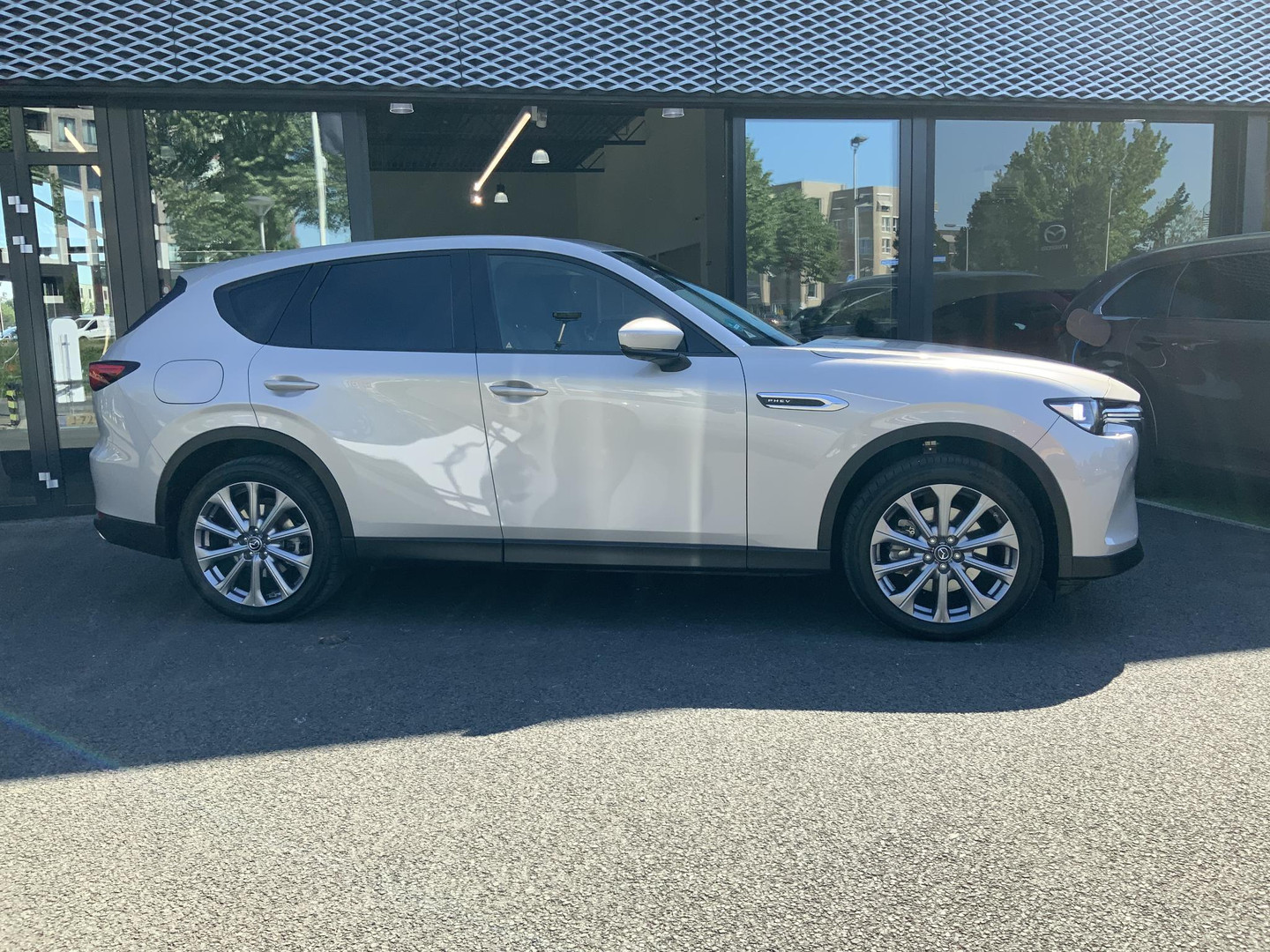 Mazda Mazda