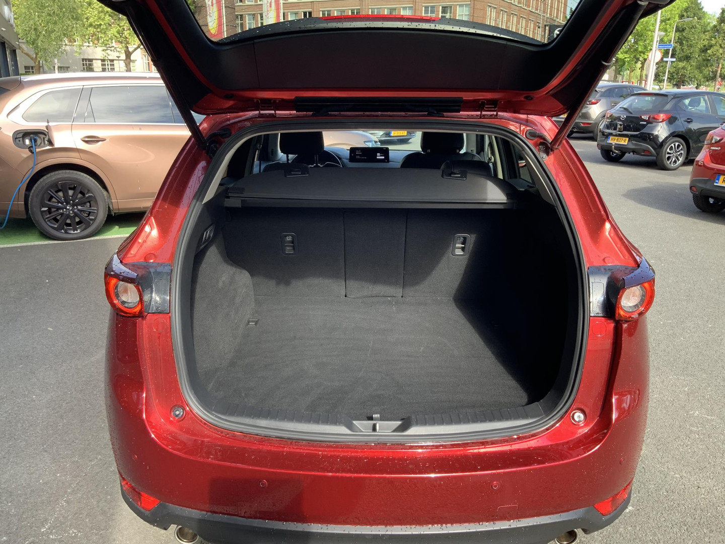 Mazda Mazda