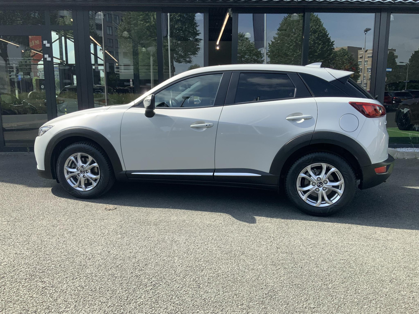 Mazda Mazda