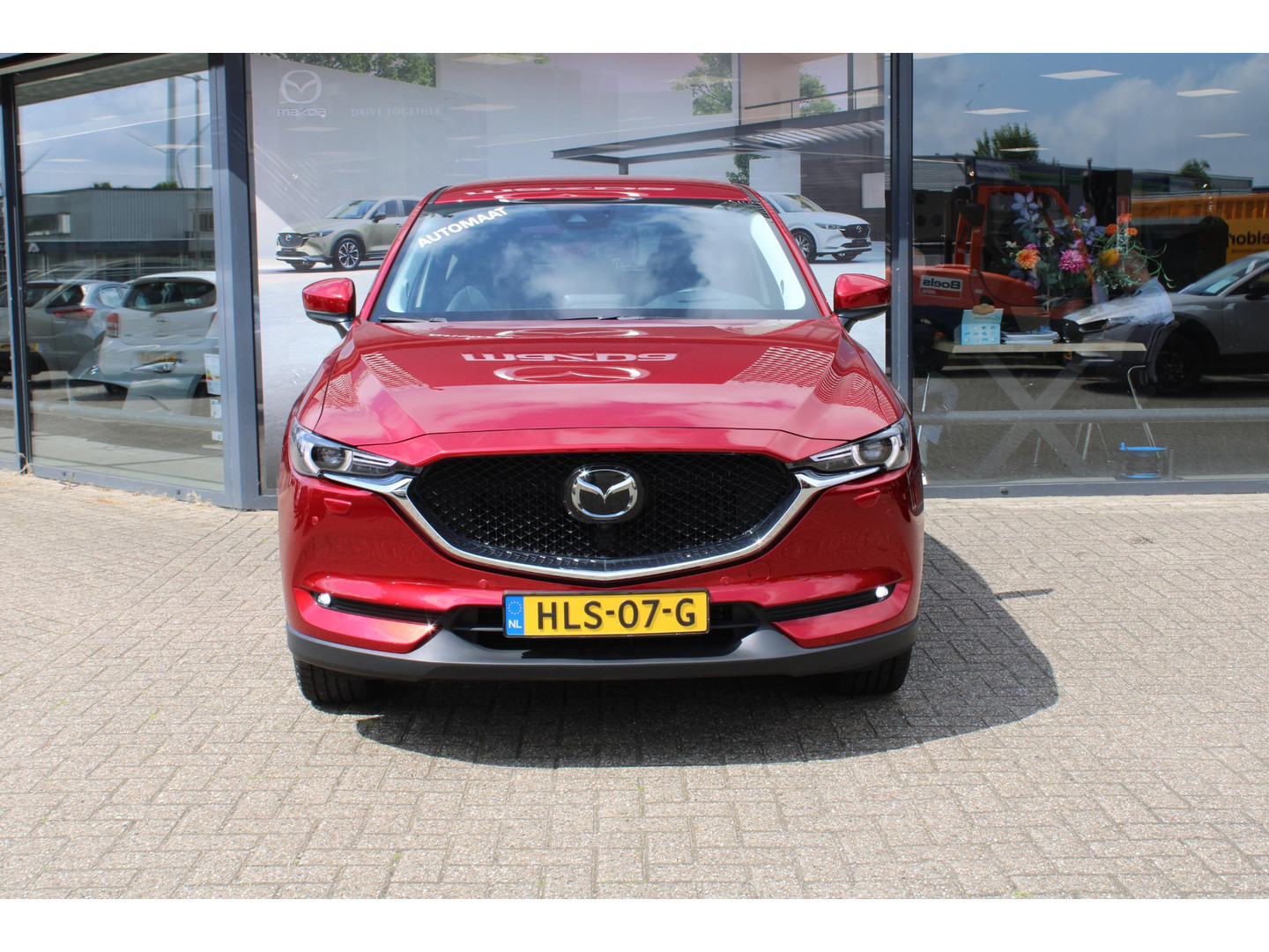 Mazda Mazda