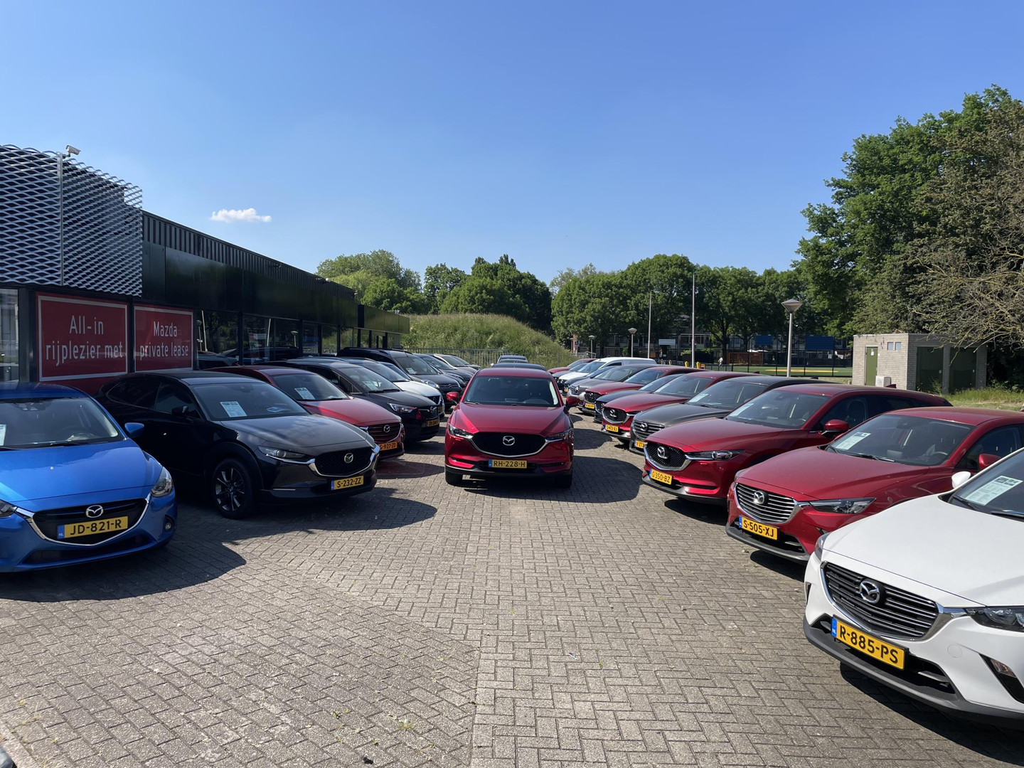 Mazda Mazda
