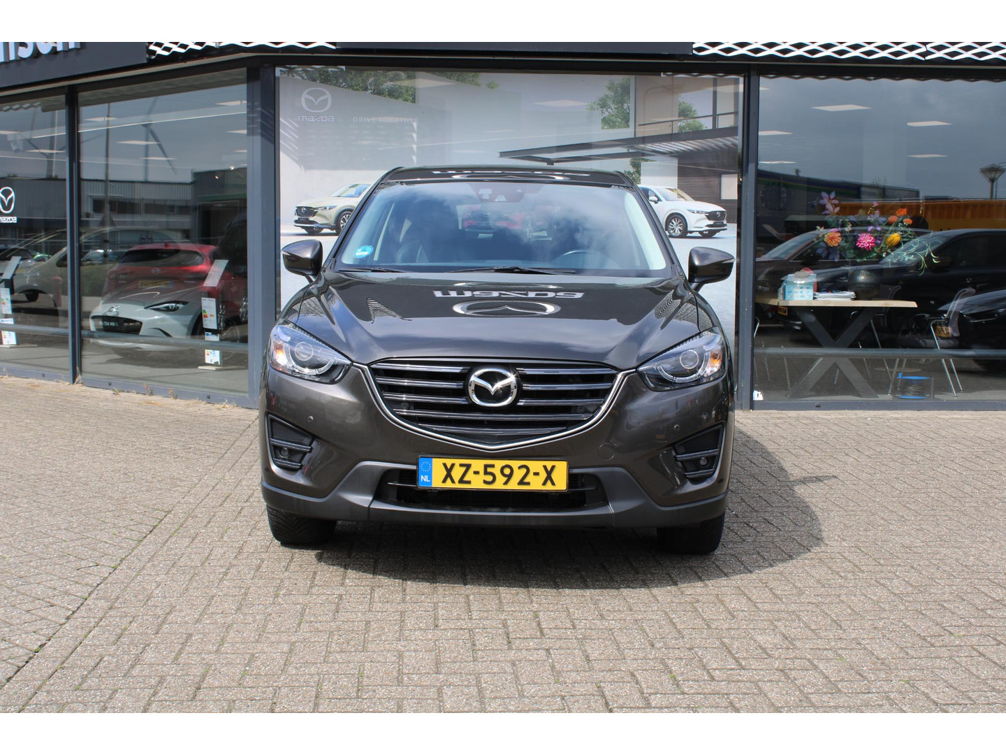 Mazda Mazda