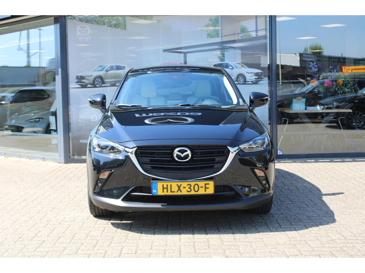Mazda Mazda