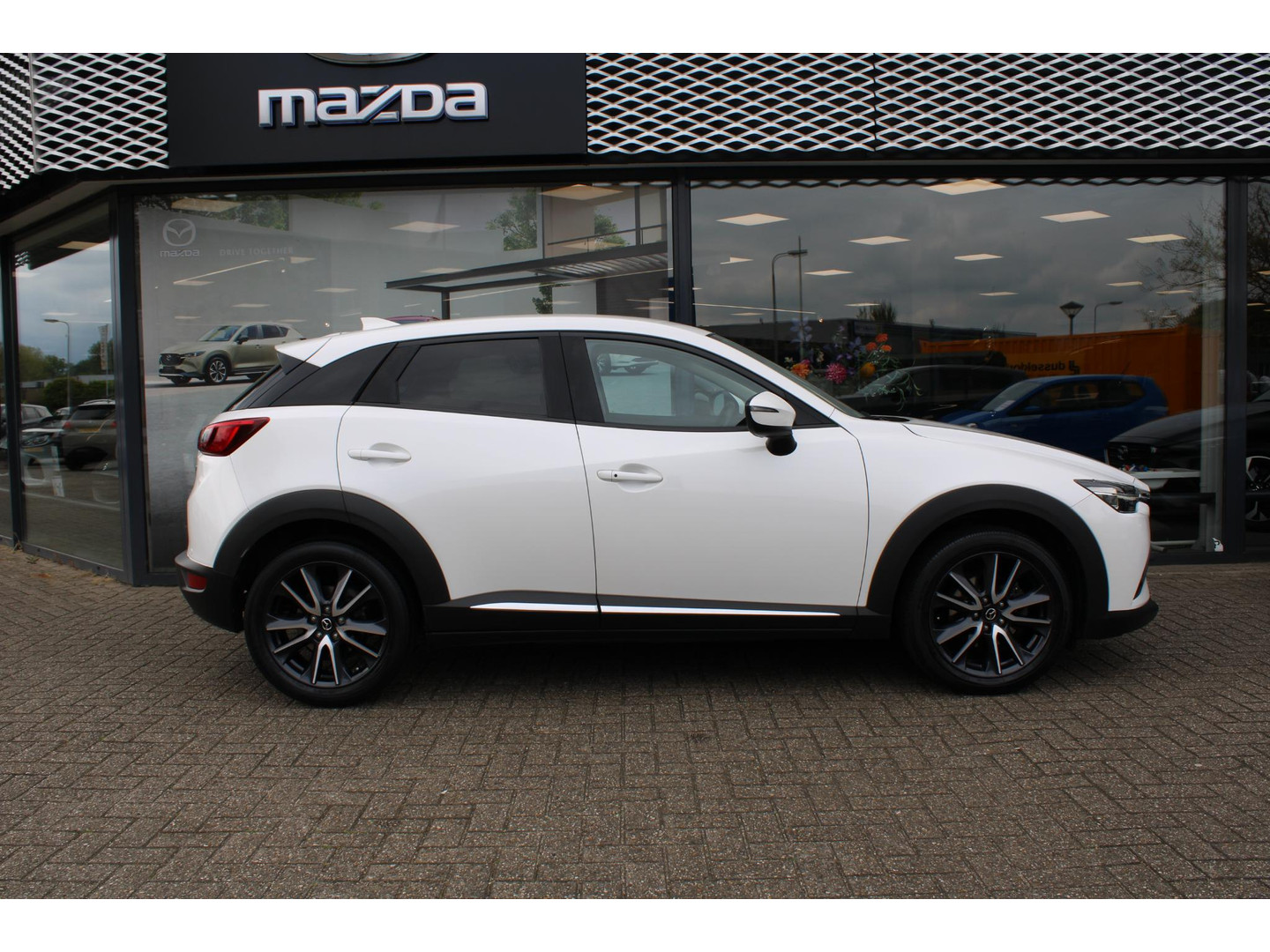 Mazda Mazda