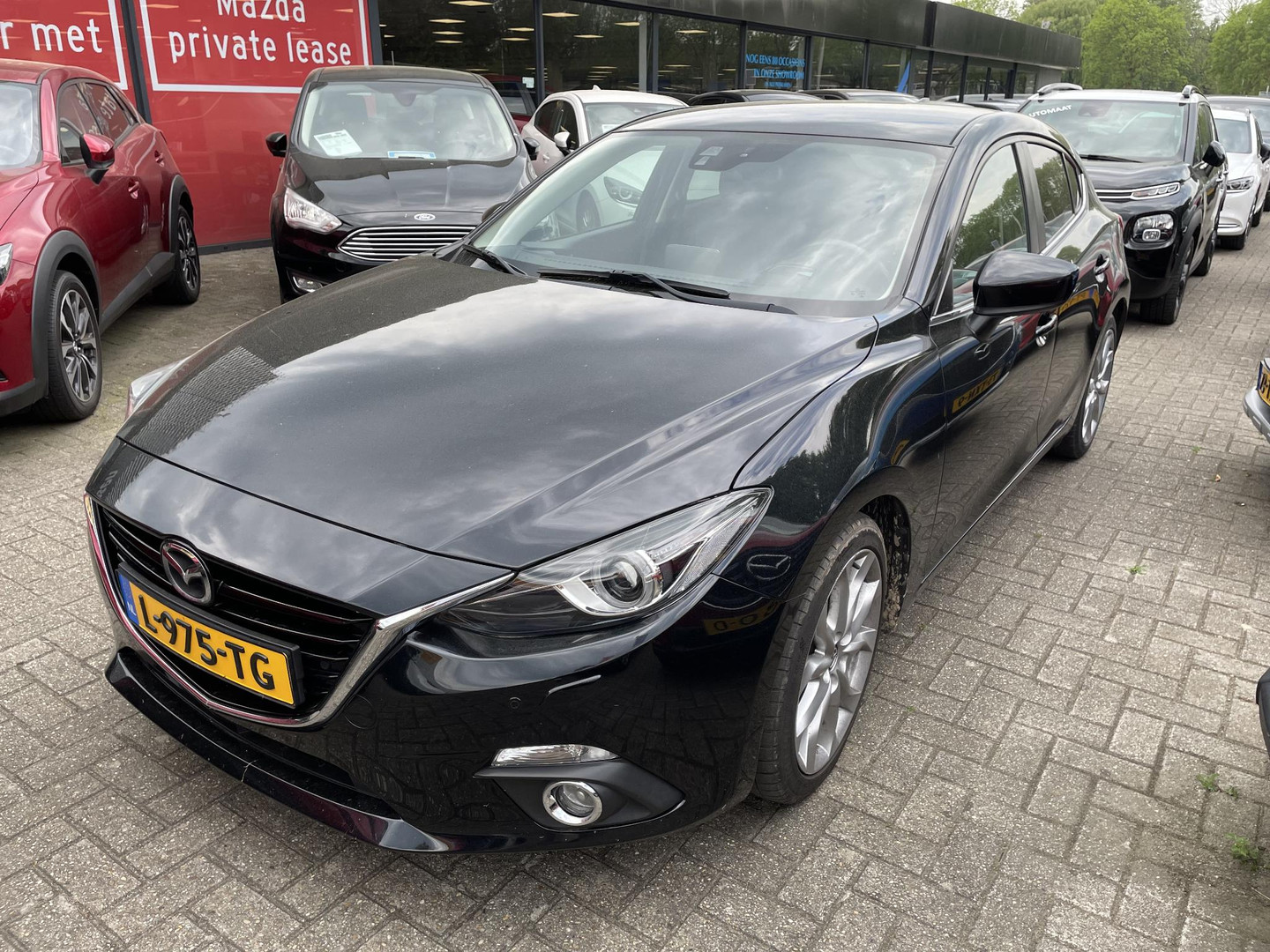 Mazda Mazda