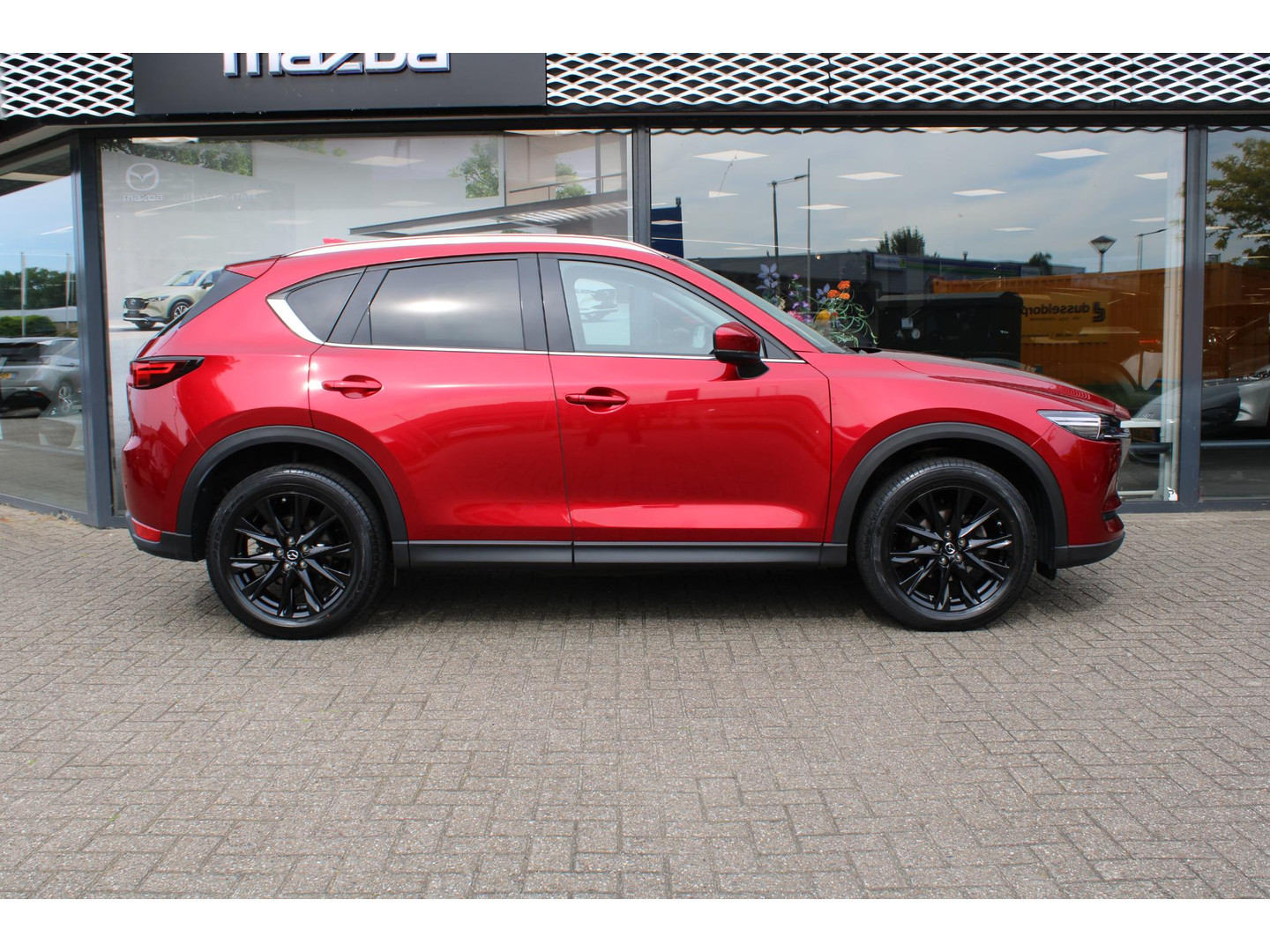 Mazda Mazda