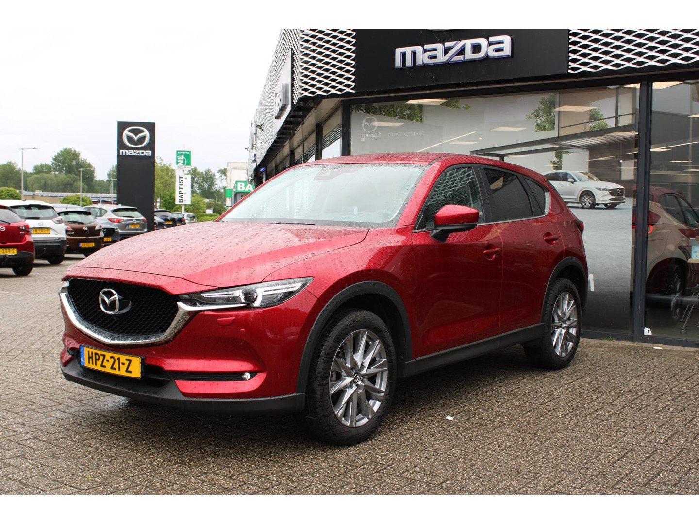 Mazda Mazda