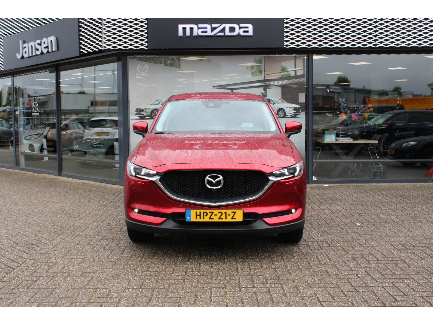 Mazda Mazda