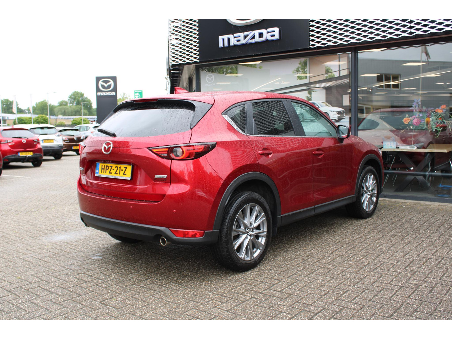 Mazda Mazda