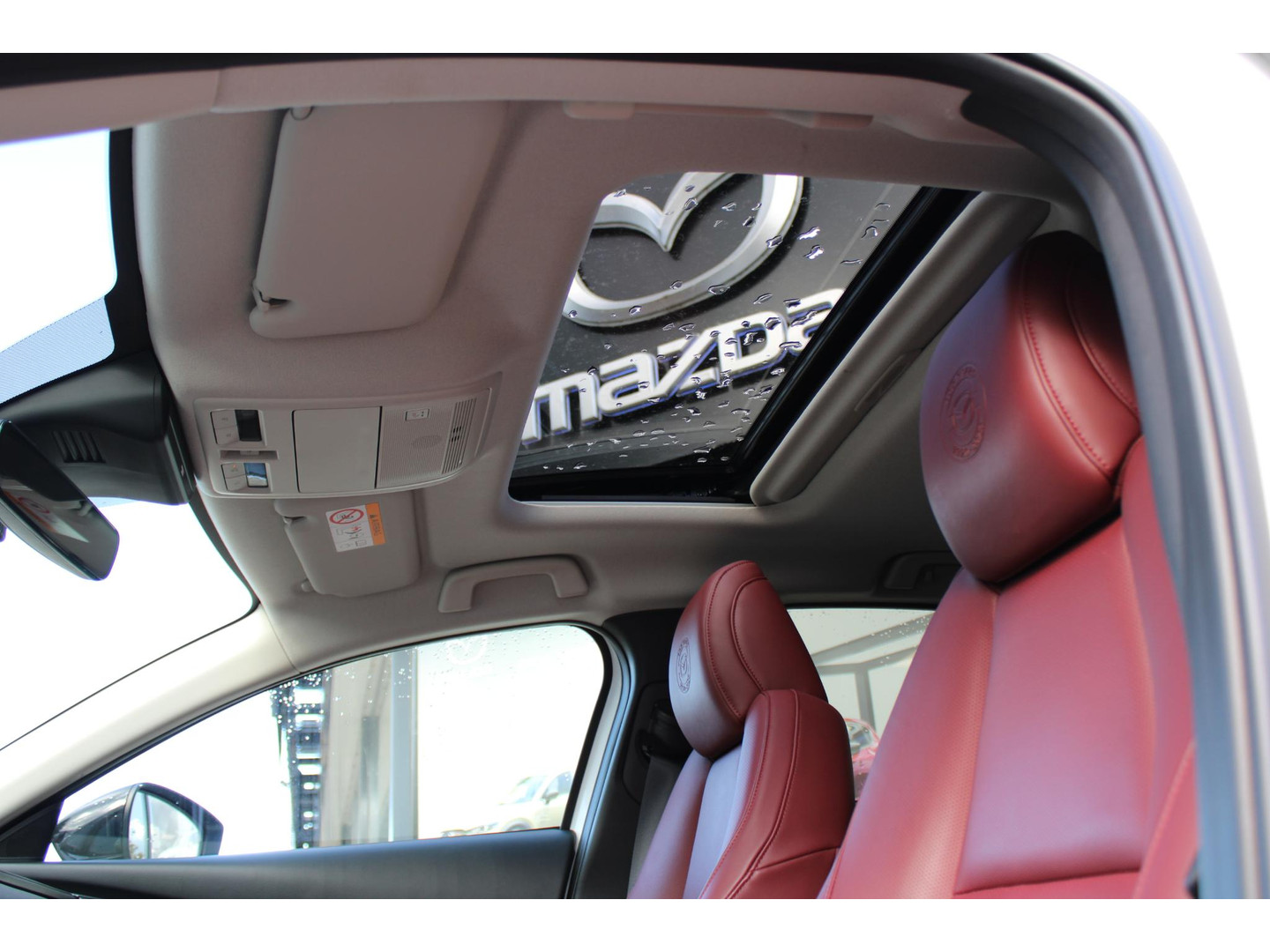 Mazda Mazda