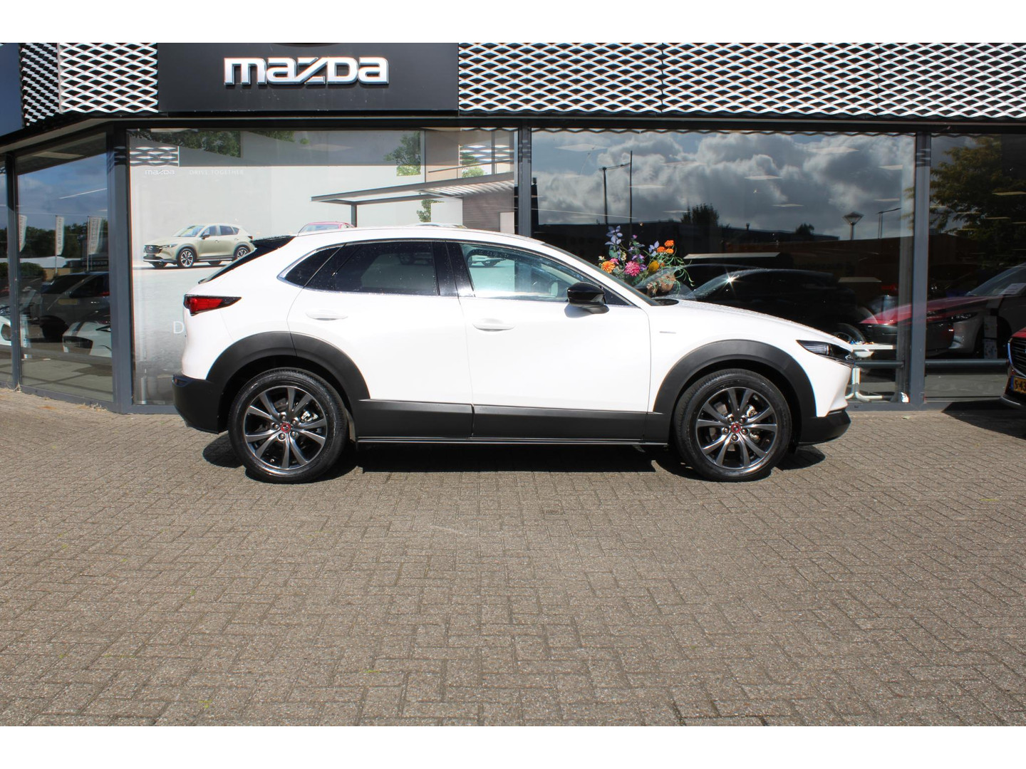 Mazda Mazda