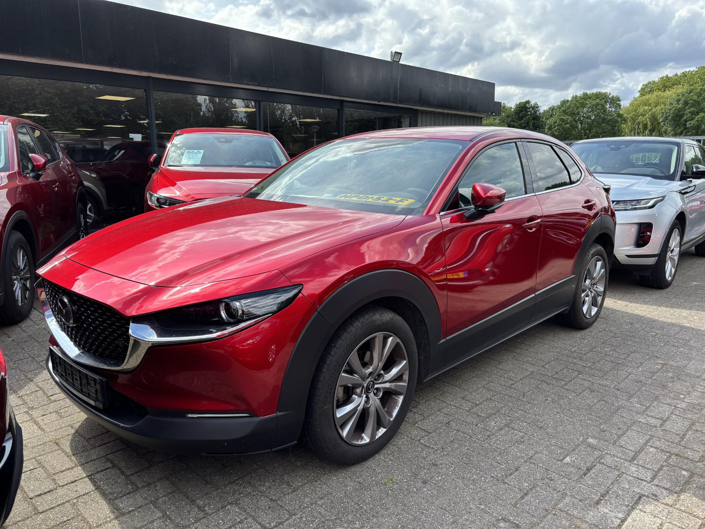 Mazda Mazda