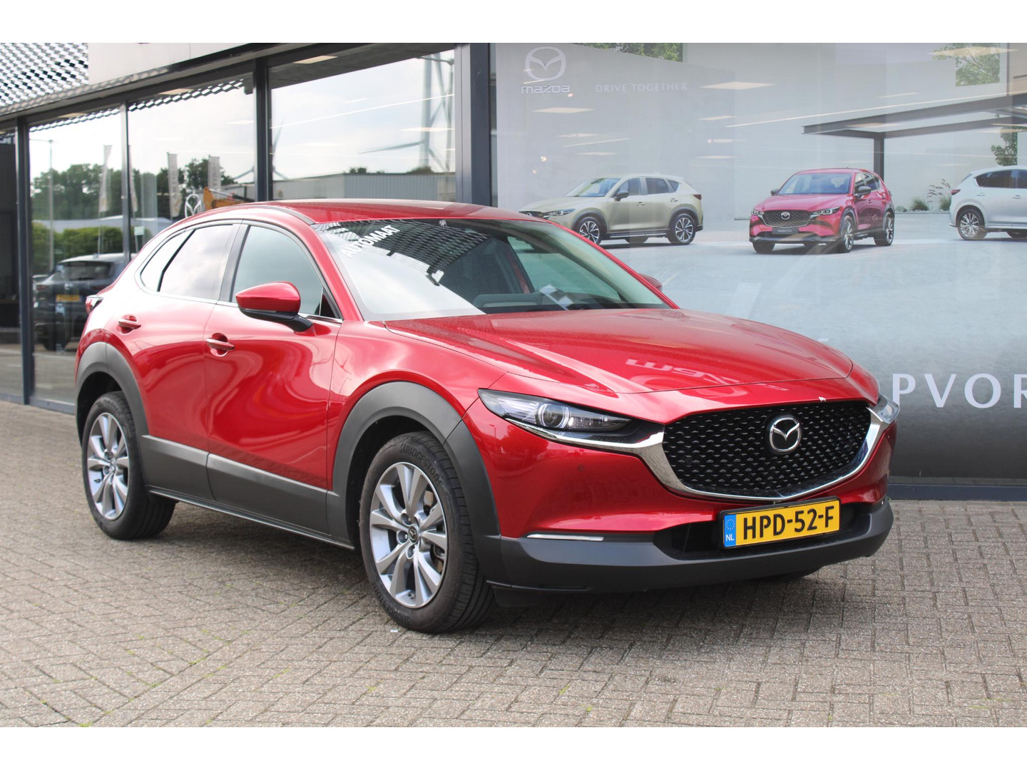 Mazda Mazda