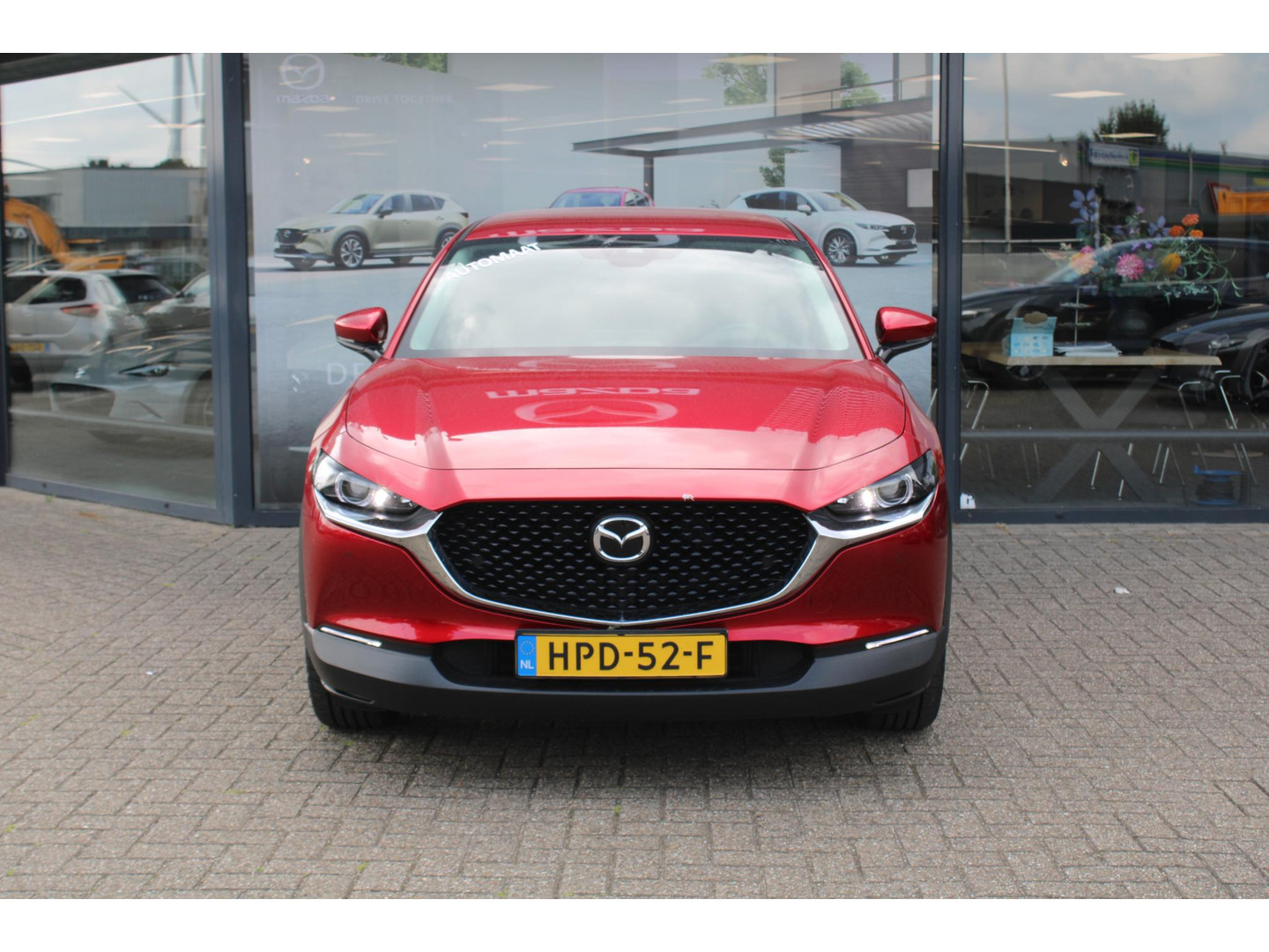 Mazda Mazda