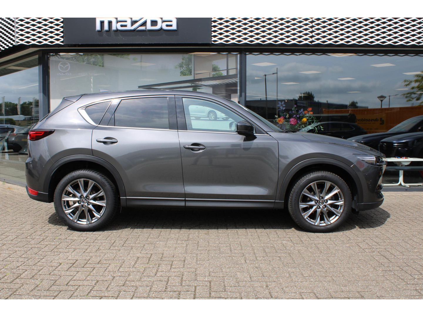 Mazda Mazda