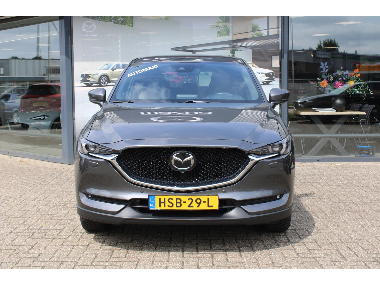 Mazda Mazda