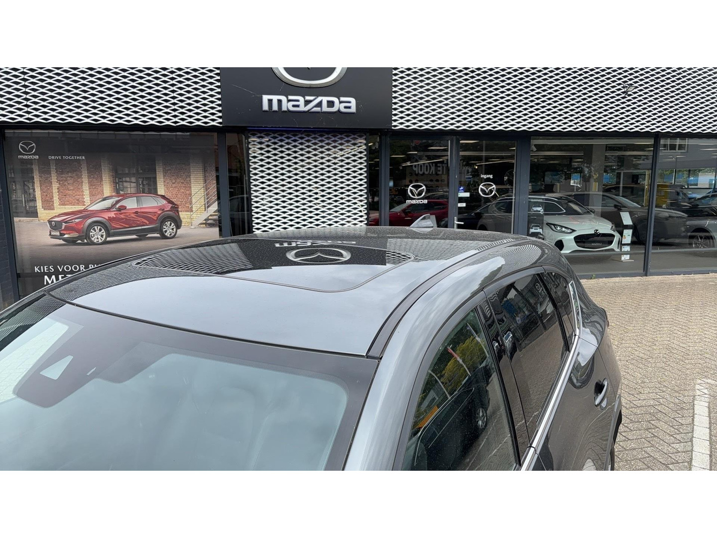Mazda Mazda