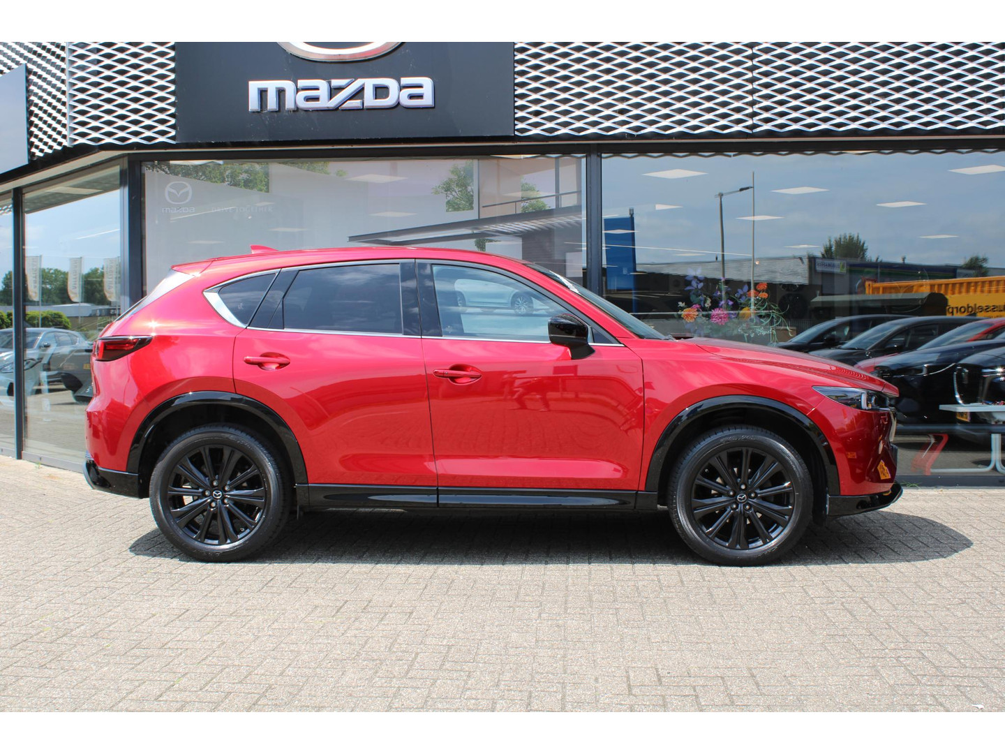 Mazda Mazda
