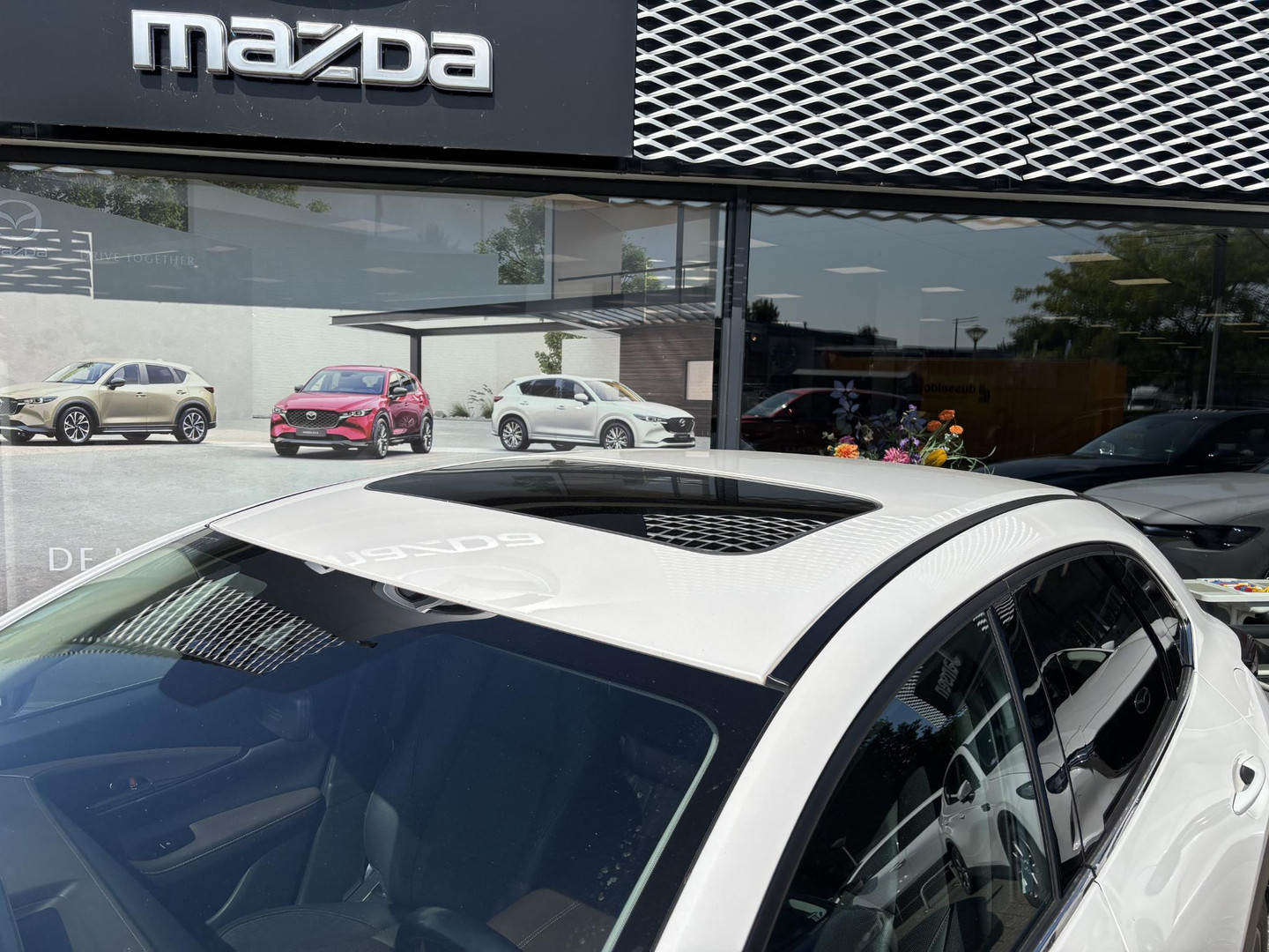 Mazda Mazda