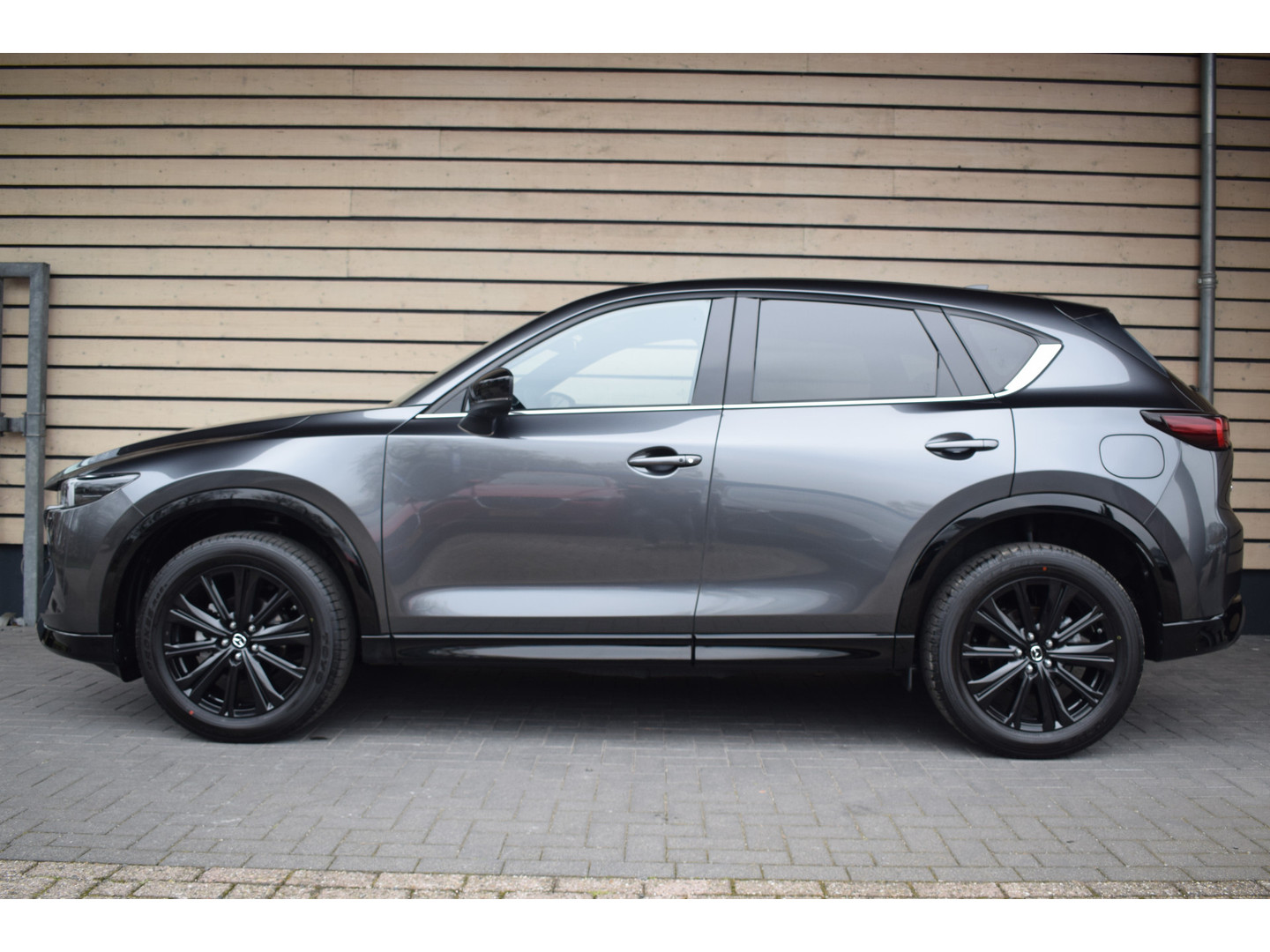 Mazda Mazda