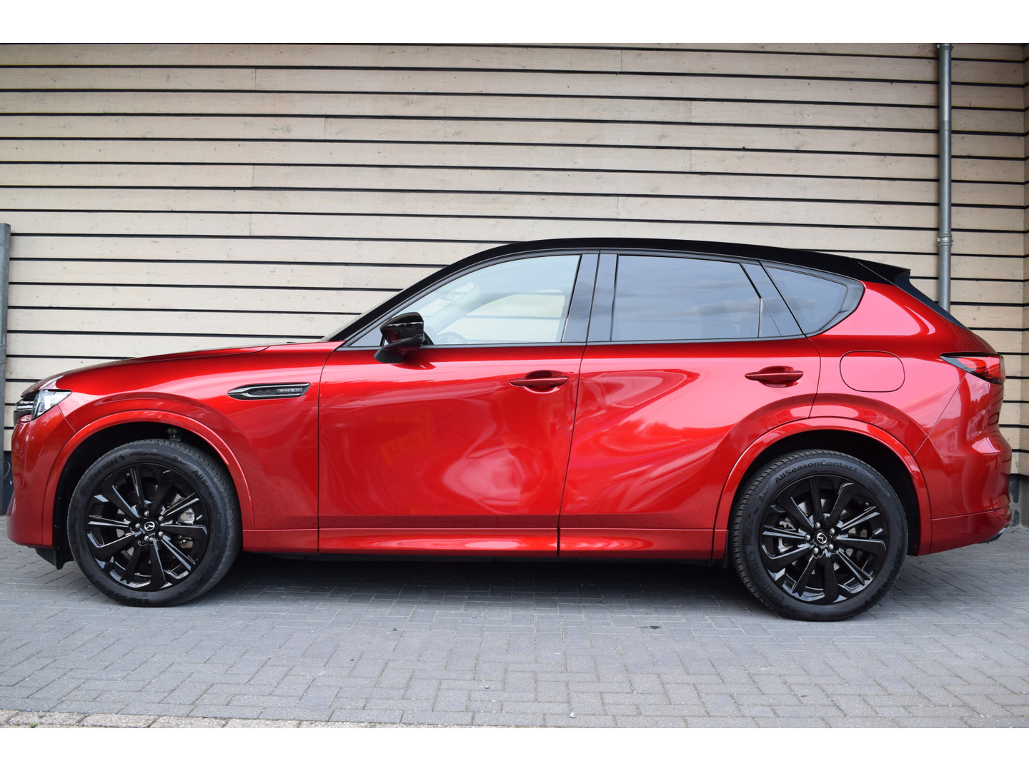 Mazda Mazda