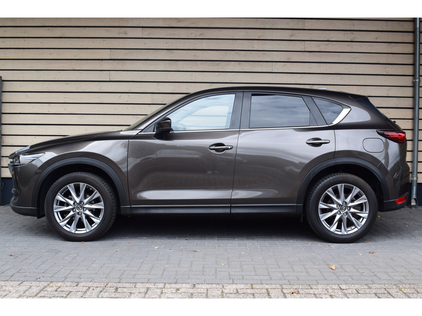Mazda Mazda
