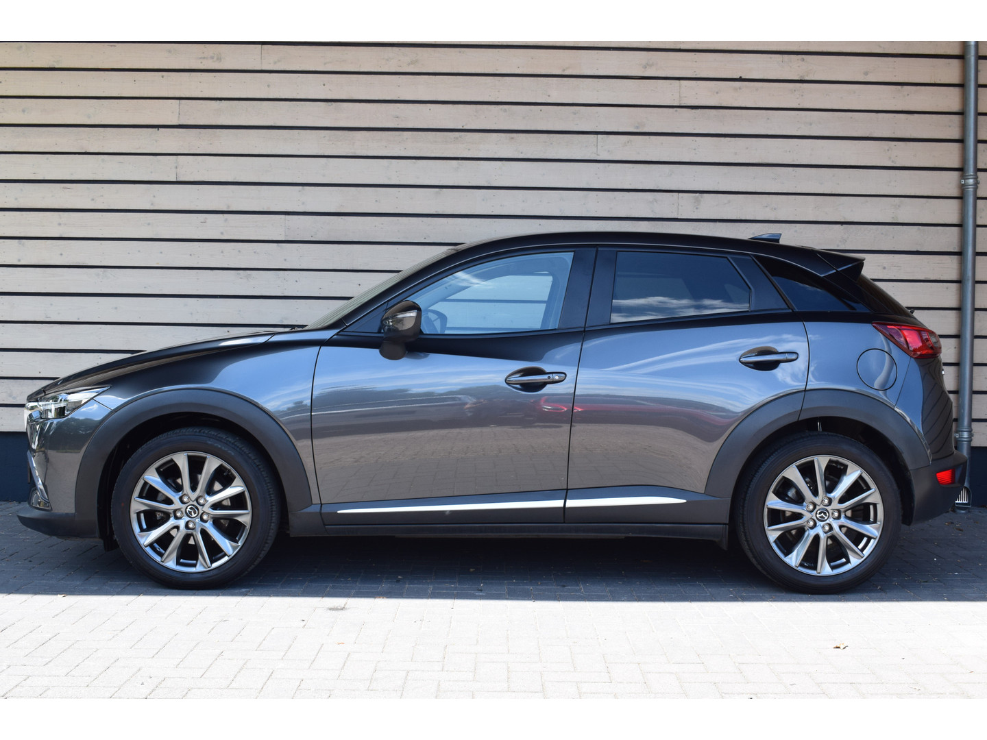 Mazda Mazda
