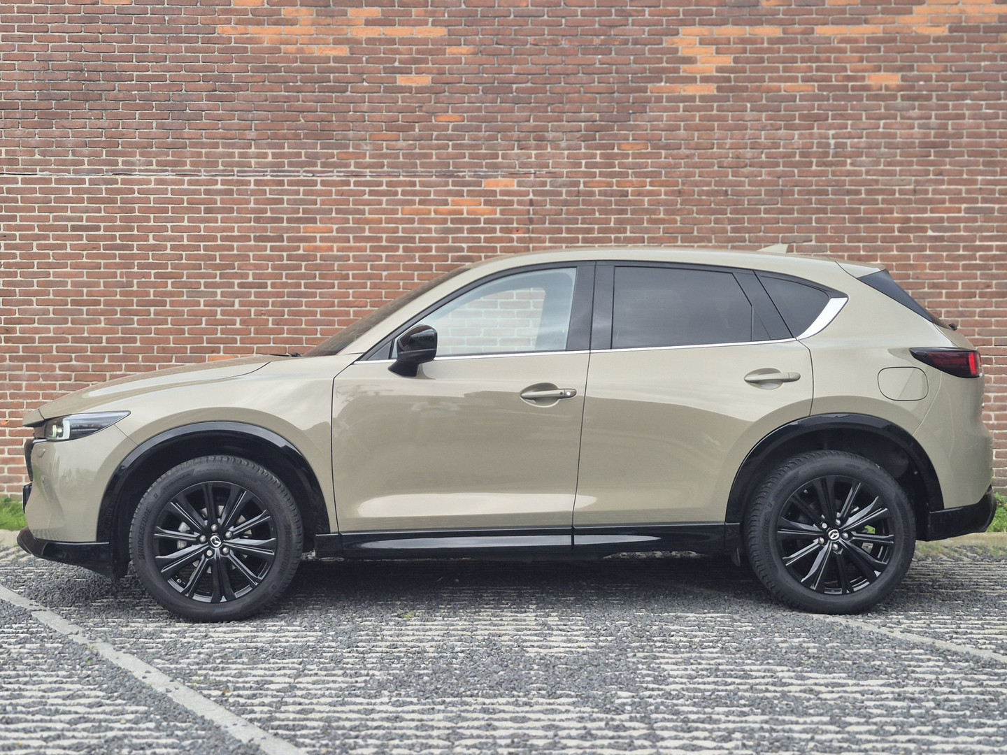 Mazda Mazda