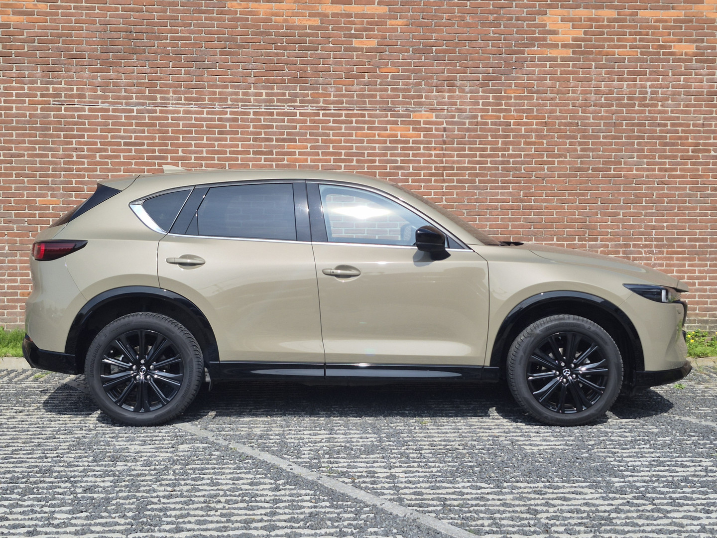 Mazda Mazda
