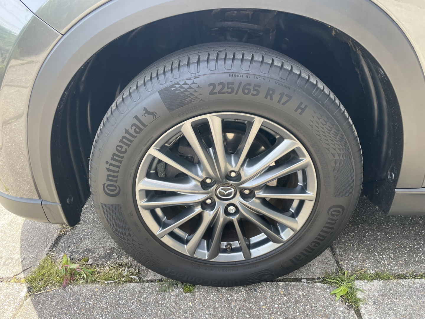 Mazda