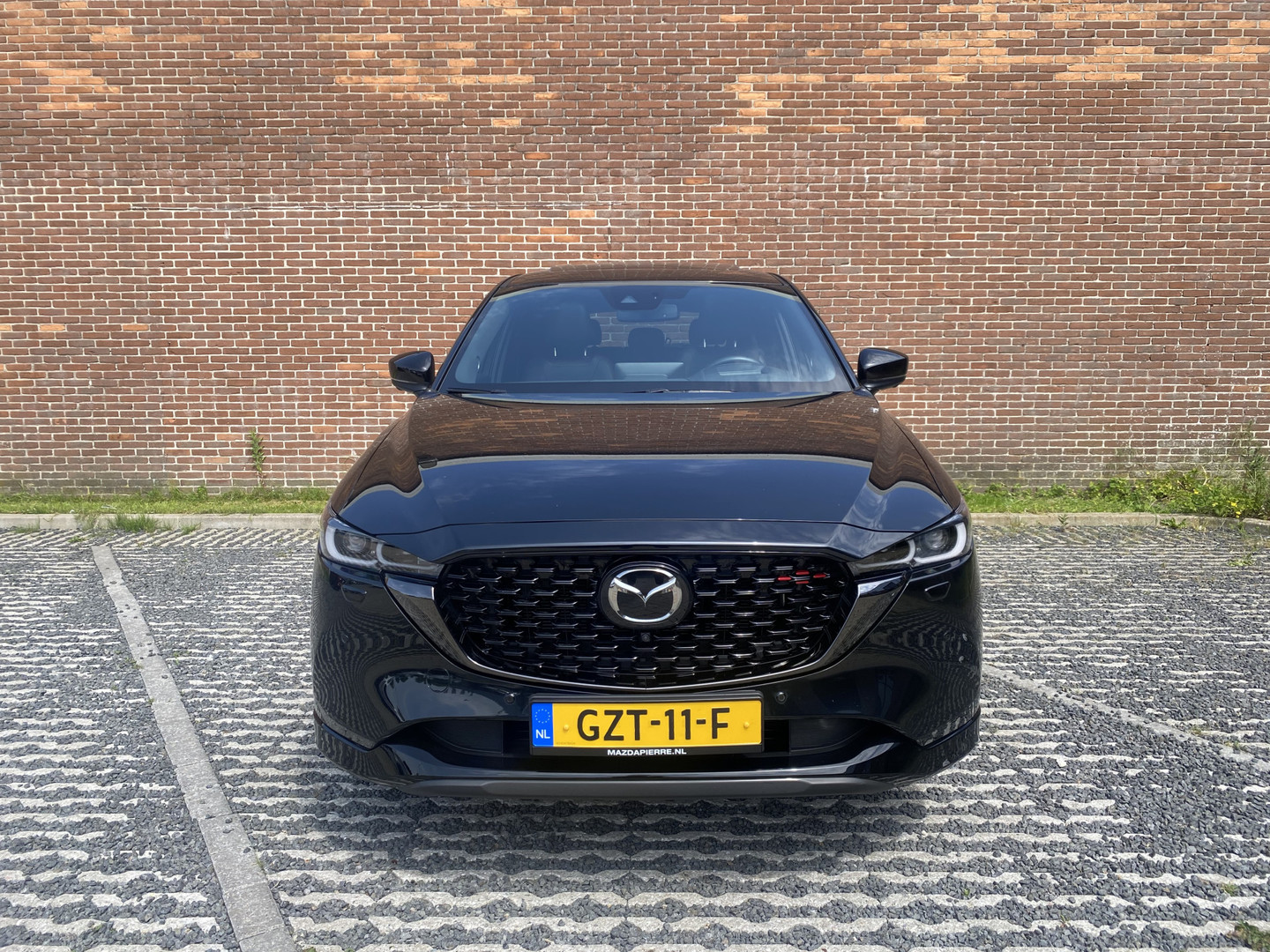 Mazda Mazda