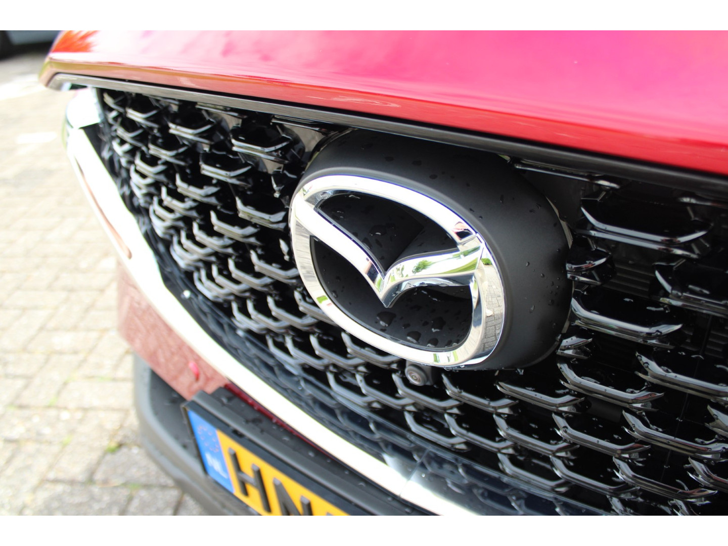 Mazda Mazda