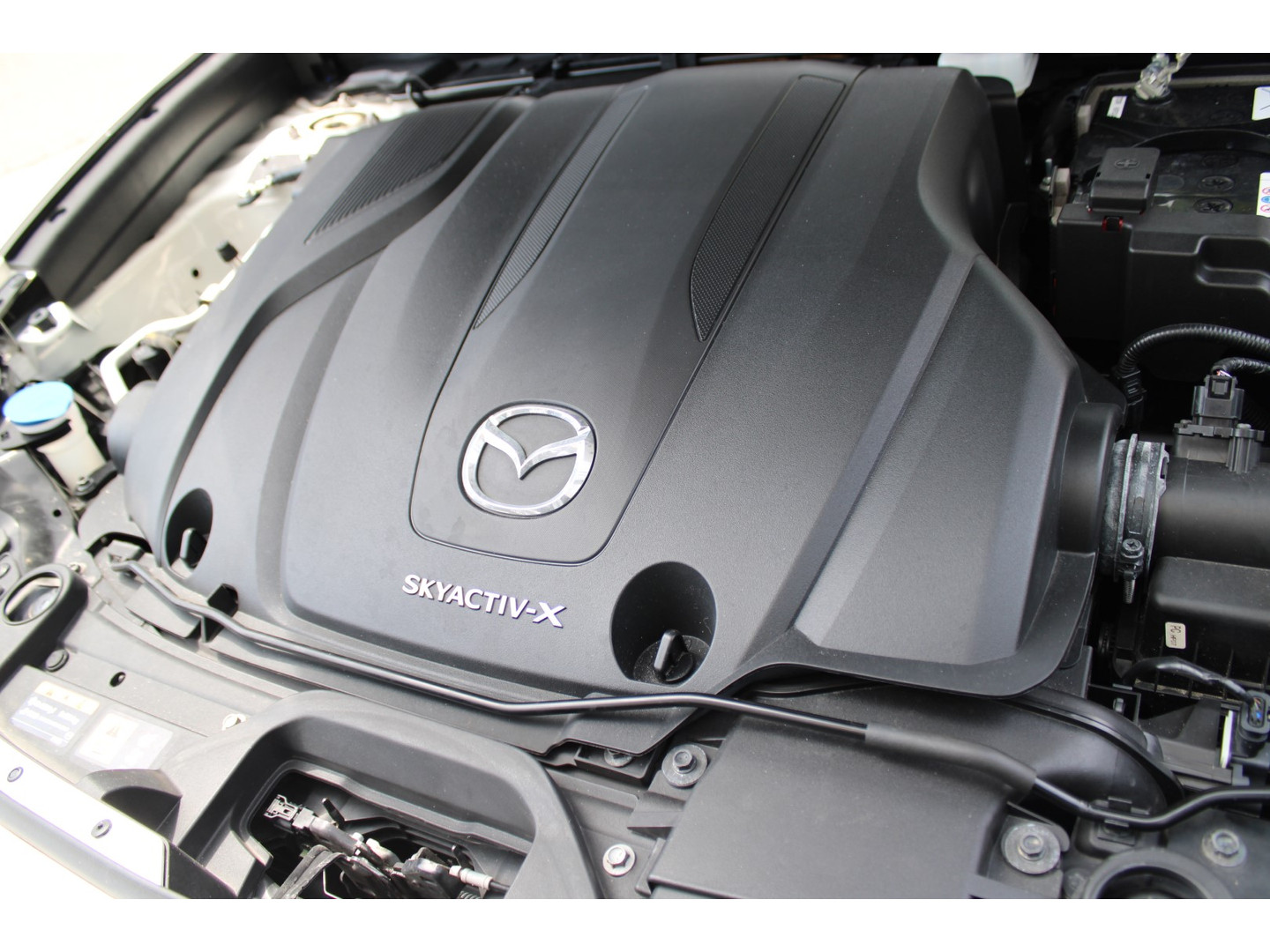Mazda Mazda