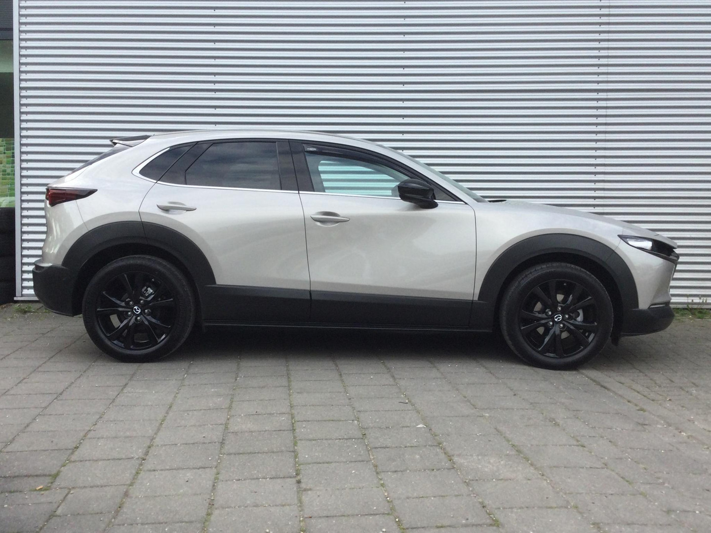 Mazda Mazda