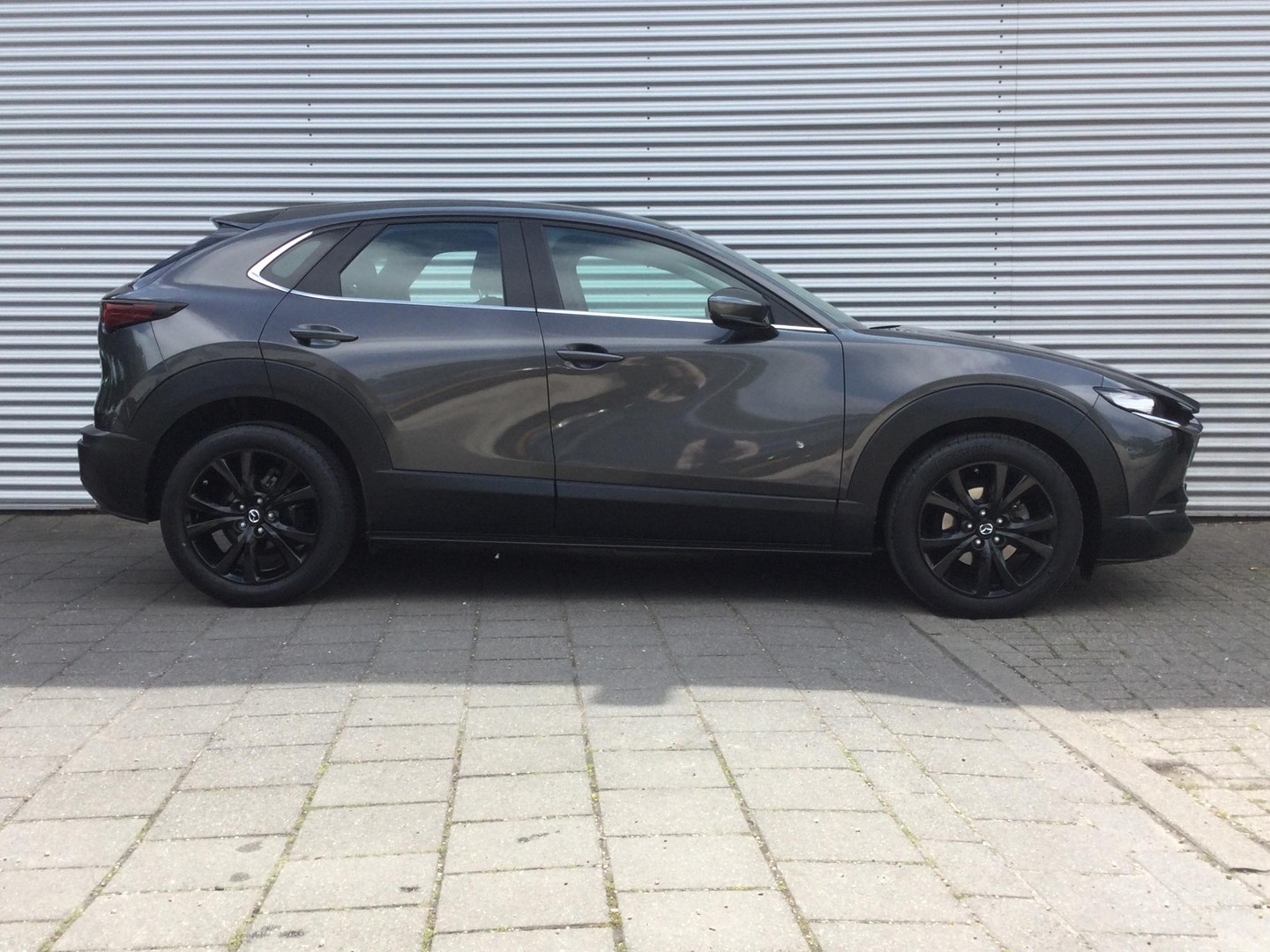 Mazda Mazda