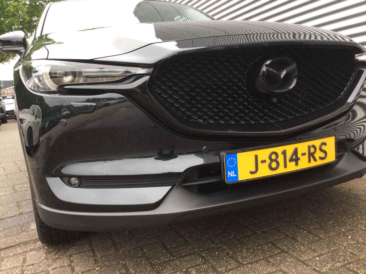 Mazda Mazda