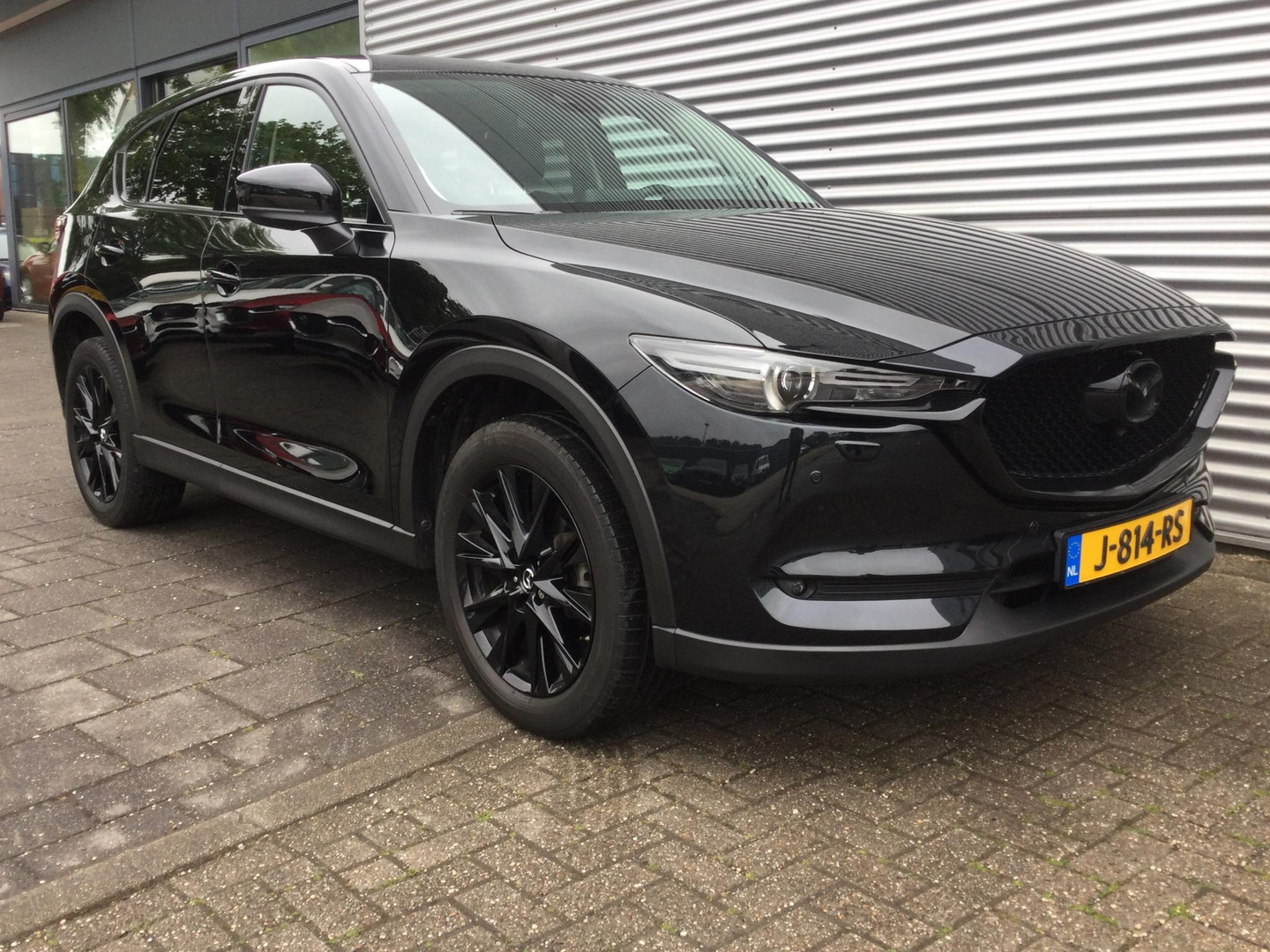 Mazda Mazda