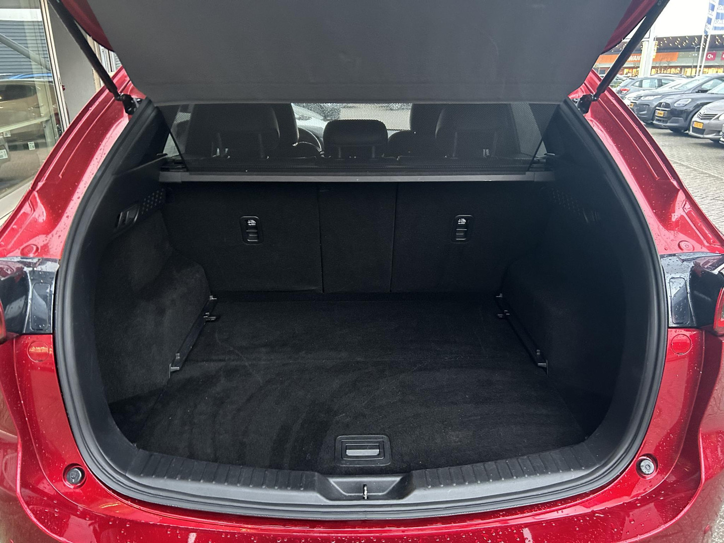 Mazda Mazda