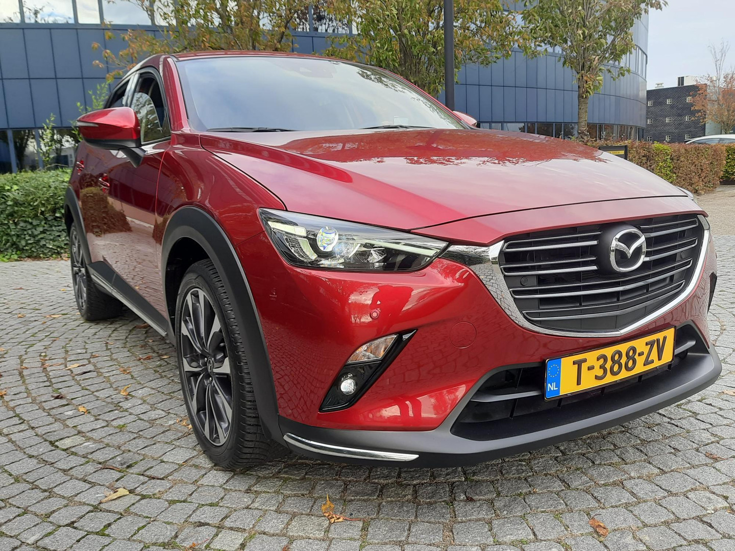Mazda Mazda