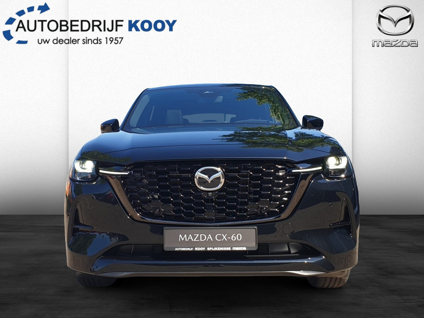 Mazda Mazda