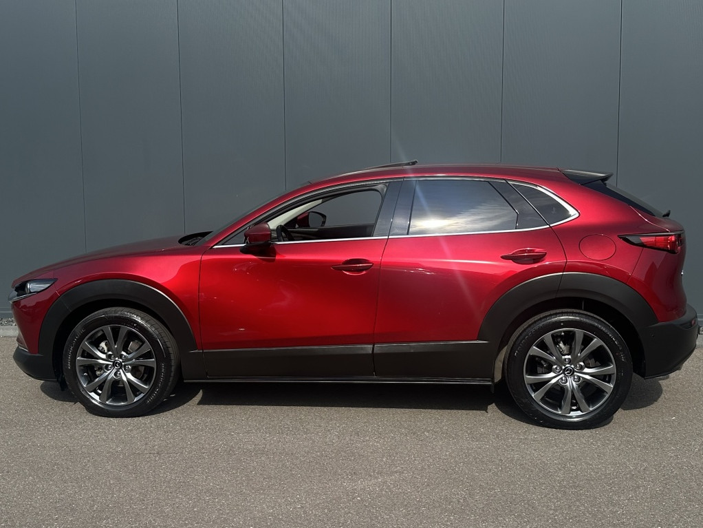 Mazda Mazda