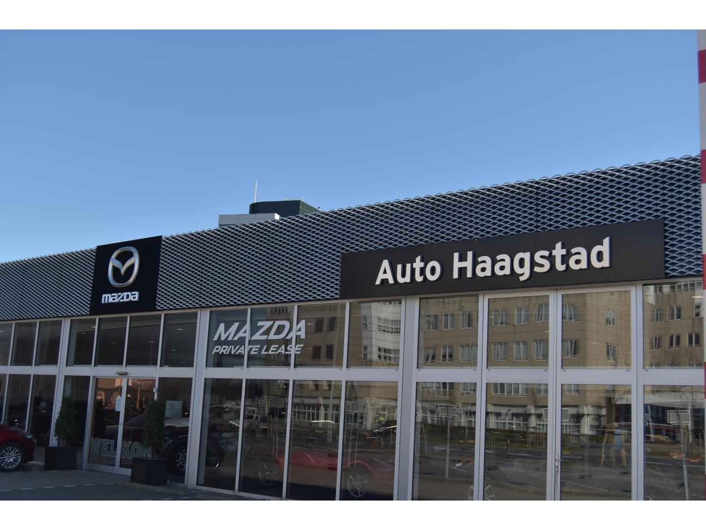 Mazda Mazda