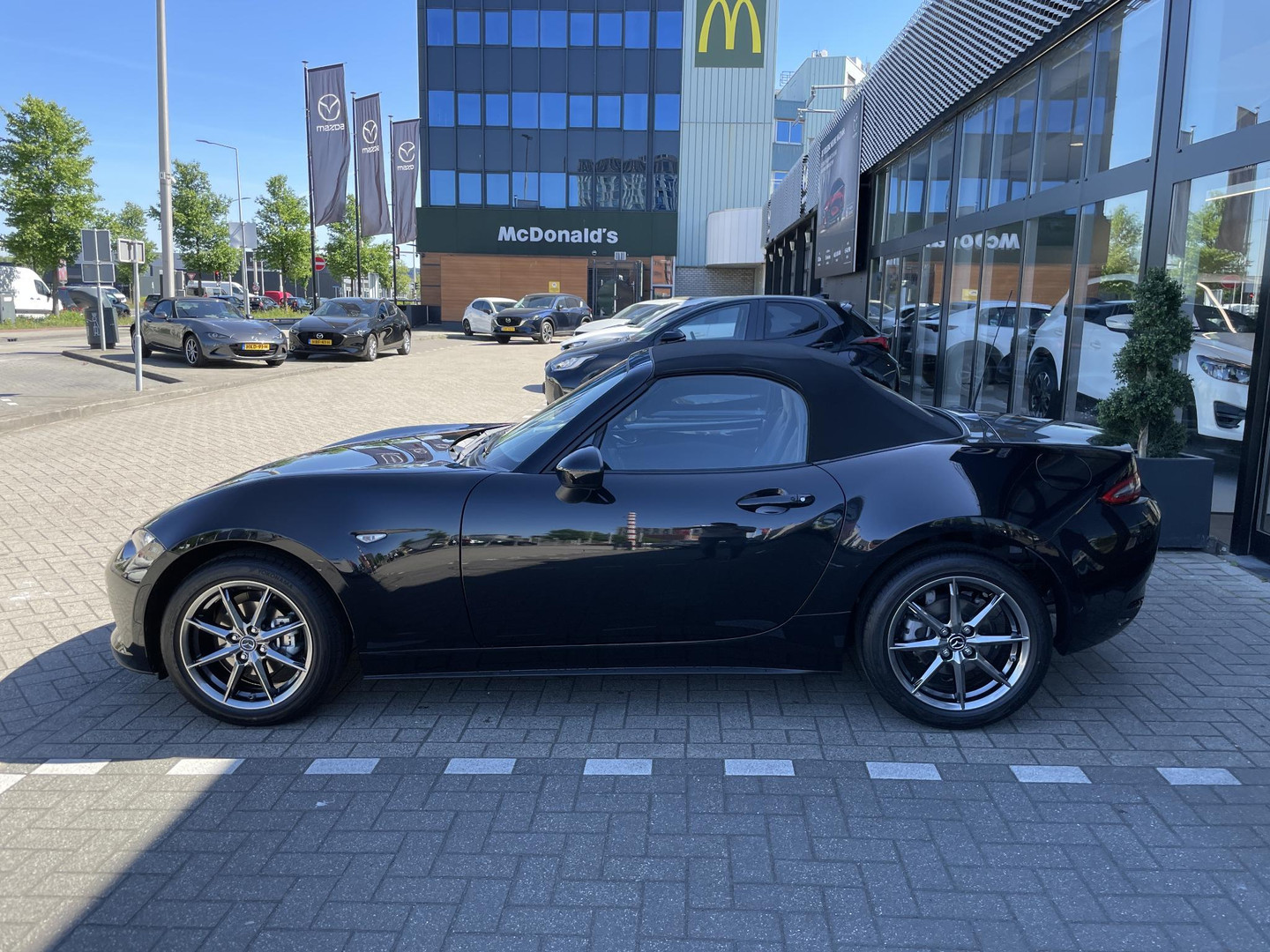 Mazda Mazda