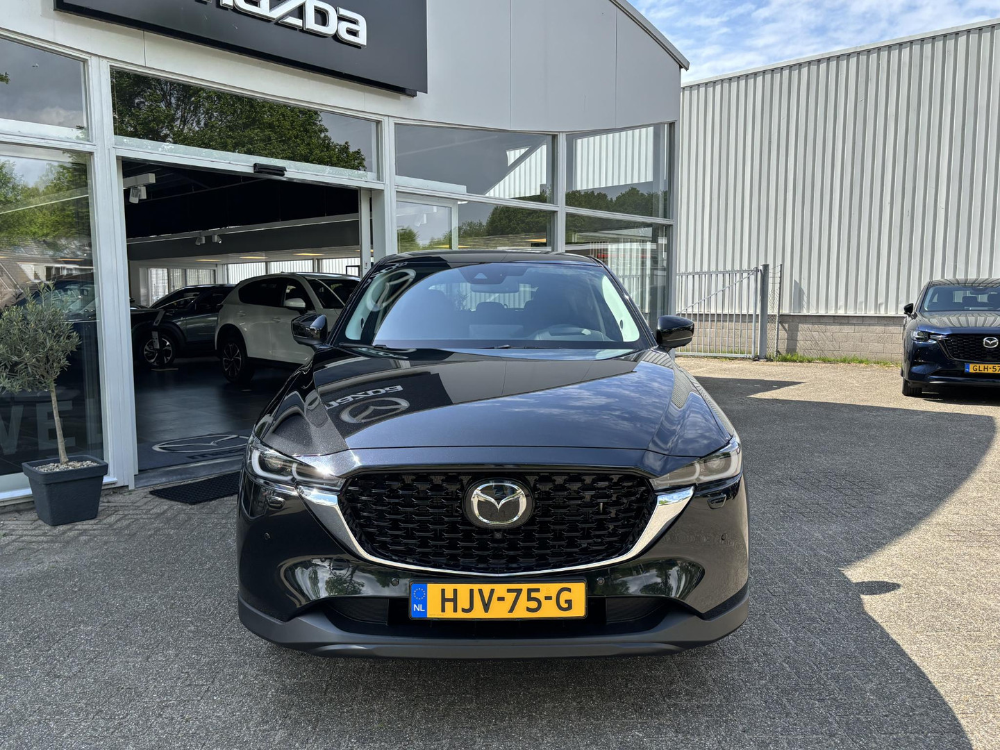 Mazda Mazda