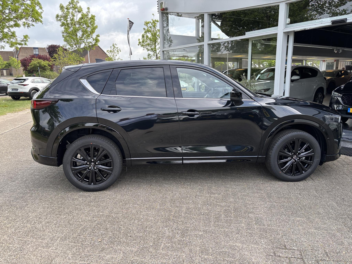 Mazda Mazda
