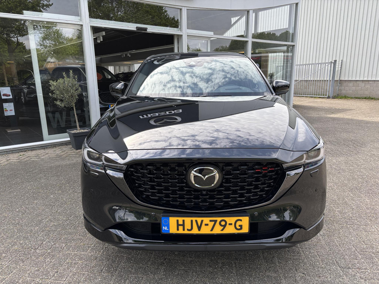 Mazda Mazda