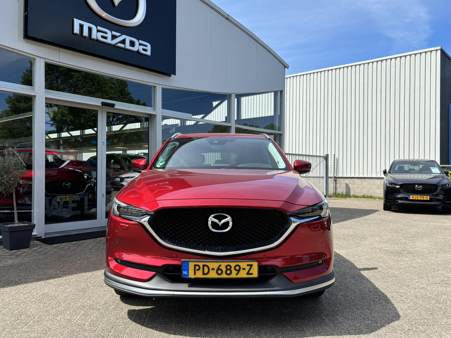 Mazda Mazda